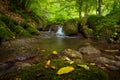 Croatia - Nature park Papuk - Forest creek
