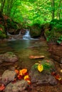 Croatia - Nature park Papuk - Forest creek