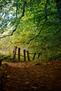 Croatia - Nature park Papuk - Forest path