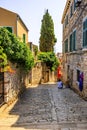 Croatia - Rovinj on Istria peninsula. Old town cobbled street.Beautiful colorful old house in Rovinj, Croatia, Europe