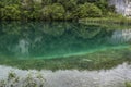 Plitvice Lakes National Park, lake, forest, green, environment, mountain, nature reserve, Croatia, Europe Royalty Free Stock Photo