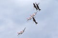 Croatian Air Force Pilatus PC-9M military trainer aircraft of the Wings of Storm formation aerobatic display team