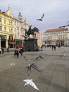 Croatia / Zagreb / Main Square Doves Flying