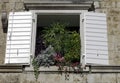 Croatian window with plants and flowers - Dubrovnik, Dalmatia, Croatia Royalty Free Stock Photo