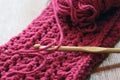 Crochet Hook and Yarn Royalty Free Stock Photo