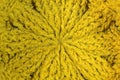 Crochet Pattern. Royalty Free Stock Photo