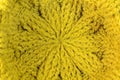 Crochet Pattern. Royalty Free Stock Photo