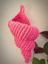 Crochet spiral shell basket with a hanger Royalty Free Stock Photo