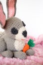 Crocheted Amigurumi Bunny with Carrot