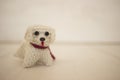 Crocheted cute dog Royalty Free Stock Photo
