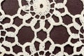 Crocheted doily in white color, on brown background.