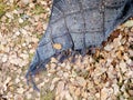 Crocheted gray shawl on autumn leaves. Square motifs, fringe