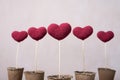 Crocheted hearts in peat glasses