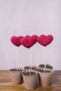 Crocheted hearts in peat glasses