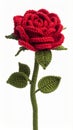 Crocheted Red Rose with Green Stem and Leaves on a White Background Royalty Free Stock Photo
