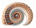 Crocheted Seashell Sculpture with Intricate Spiral Pattern on White Backdrop Royalty Free Stock Photo