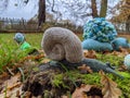 A crocheted snail crawling in the grass Royalty Free Stock Photo