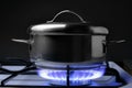 Crock on the gas stove Royalty Free Stock Photo