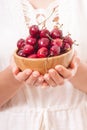 Crockery with cherries in woman hands. Royalty Free Stock Photo