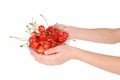 Crockery with cherries in woman hands