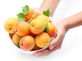 Crockery with mellow apricots. Royalty Free Stock Photo