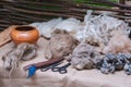 Crockery pot, packs of sheep wool, hand shears, scissors