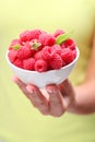 Crockery with raspberries. Royalty Free Stock Photo