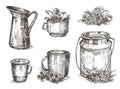 Crockery and wildflowers. Set of sketch images. Vintage illustrations. Royalty Free Stock Photo