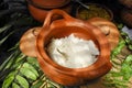 Crockpot of steamed rice Royalty Free Stock Photo