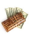 croco leather wallet with euros isolates on white