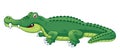 Crocodile