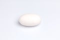 Crocodile alligator egg one white background