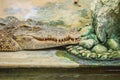 The crocodile is angry and open jaws ready to strike Royalty Free Stock Photo