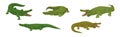 Crocodile as Large Green Semiaquatic Reptile in Different Pose Vector Set