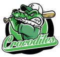 Crocodile baseball mascot Royalty Free Stock Photo