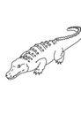 Crocodile black and white lineart drawing illustration. Hand drawn lineart illustration in black and white
