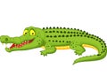 Crocodile cartoon Royalty Free Stock Photo