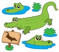 Crocodile collection