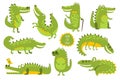 Crocodile Cute Character In Different Poses Childish Stickers