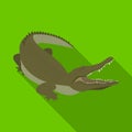 Crocodile, dangerous predator. Reptile, Nile crocodile single icon in flat style vector symbol stock illustration web.