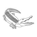 Crocodile, dangerous predator. Reptile, Nile crocodile single icon in outline style vector symbol stock illustration web