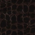 Crocodile dark skin leather texture. Seamless square background, Royalty Free Stock Photo