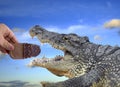 Crocodile eating ice cream Royalty Free Stock Photo