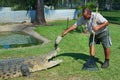 Crocodile farmer Tabone plays with the reptile kept behind the fence in Australia in Jonston River, Australia.