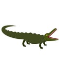 Crocodile flat illustration on white