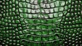 Crocodile green genuine leather background