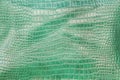 Crocodile green leather texture background
