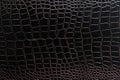 Crocodile leather. Royalty Free Stock Photo
