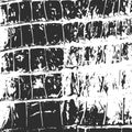 Crocodile leather, abstract texture black on white Royalty Free Stock Photo