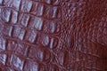 Crocodile leather close up